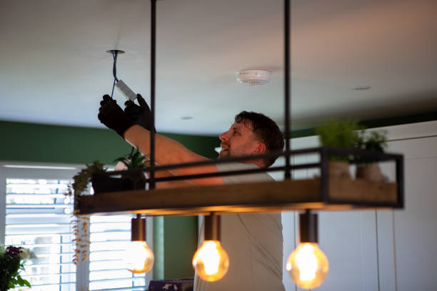 Best Electric Panel Repair  in Johnson, AR